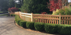 4ft. Paneled-in Fence With Spacing