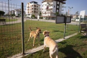 Safe Play for Your Dogs with Our Trusted Dog Park Fencing