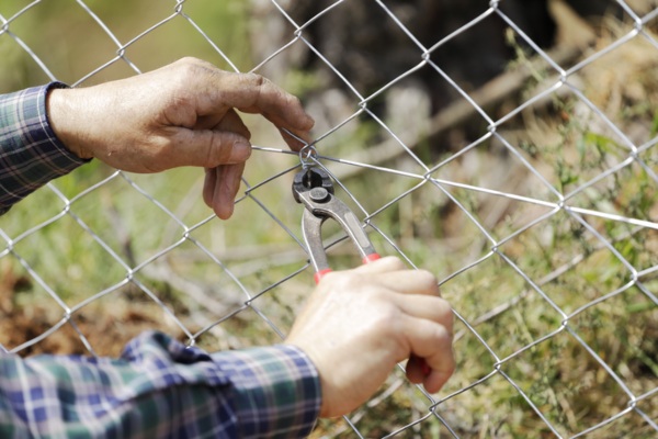Construction Worker Builds a Durable Fence with Wire Mesh