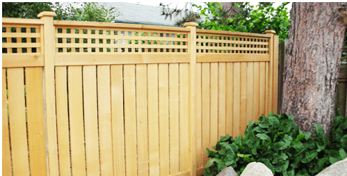 A wood privacy fence is installed around the yard near a tree by Alpine Fence Co. in Seattle, WA